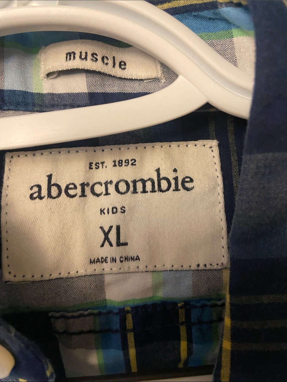 abercrombie kids Blue and Green Plaid Button-Down Shirt
